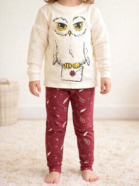 NWT Harry Potter Hedwig 2-Piece Outfit Set 4T Wizarding World